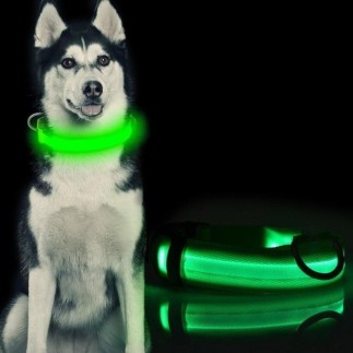 Halsband Hund Nylon LED i olika storlekar katt hundkoppel koppel