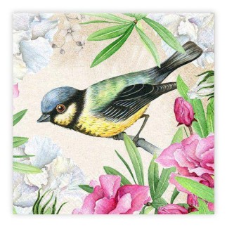 Servetter Talgoxe blomma 33x33cm 20-pack