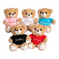 Nallebjörn Lillasyster Nalle Teddybjörn