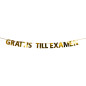 Banner Examen Vimpel 3,6 m