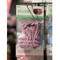Ballong Blank Rosa Spegelballong 6-pack 30 cm Latex Ballong Blank Rosa Spegelballong 6-pack 30 cm Latex