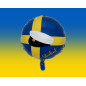 Ballong Student Blå/Gul Folie 46 cm Ballong Student Blå/Gul Folie 46 cm