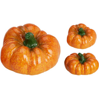 Pumpa Orange 