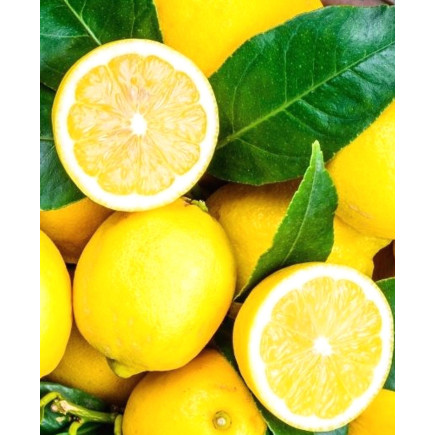 Doftolja Citron 10 ml