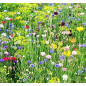 Doftolja Sommarblom 10 ml Doftolja Sommarblom 10 ml