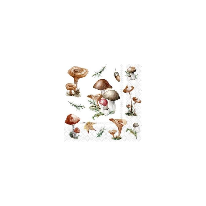 Servett Svampar 20-pack Servett Svampar 20-pack