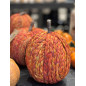 Pumpa Orange 20 cm Pumpa Orange 20 cm