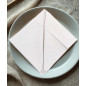Tygservett Servett Beige 40x40 cm 