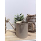 Vattenkanna Beige Metall 18 cm