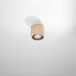 Plafond BASIC 1 naturligt trä Plafond BASIC 1 naturligt trä