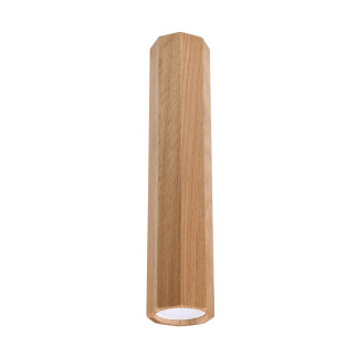 Taklampa ZEKE 30 ek