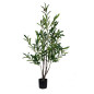 Olivträd Oliv Träd 120 cm Olivträd Oliv Träd 120 cm