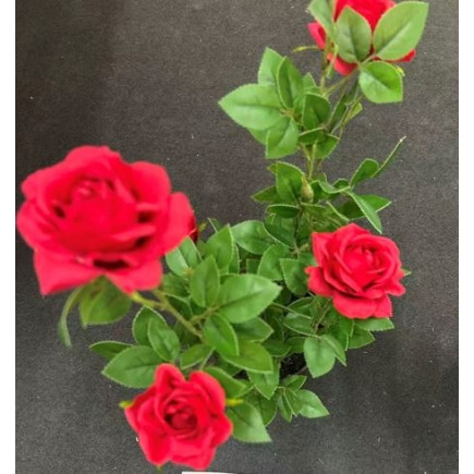 Ros i kruka Röd 41 cm