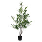 Olivträd Oliv Träd 120 cm Olivträd Oliv Träd 120 cm