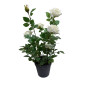Ros i kruka Vit 41 cm Ros i kruka Vit 41 cm