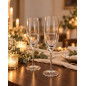 Champagneglas 4-pack 21 cl Champagneglas 4-pack 21 cl