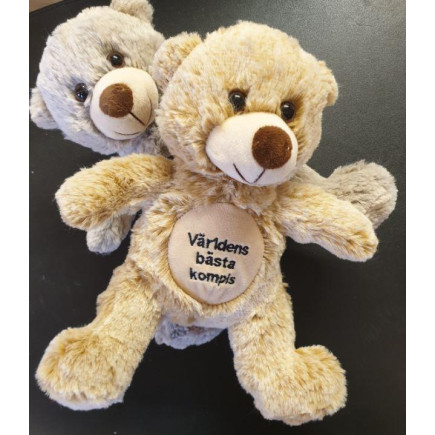 Nalle Världens bästa kompis Beige 20 cm